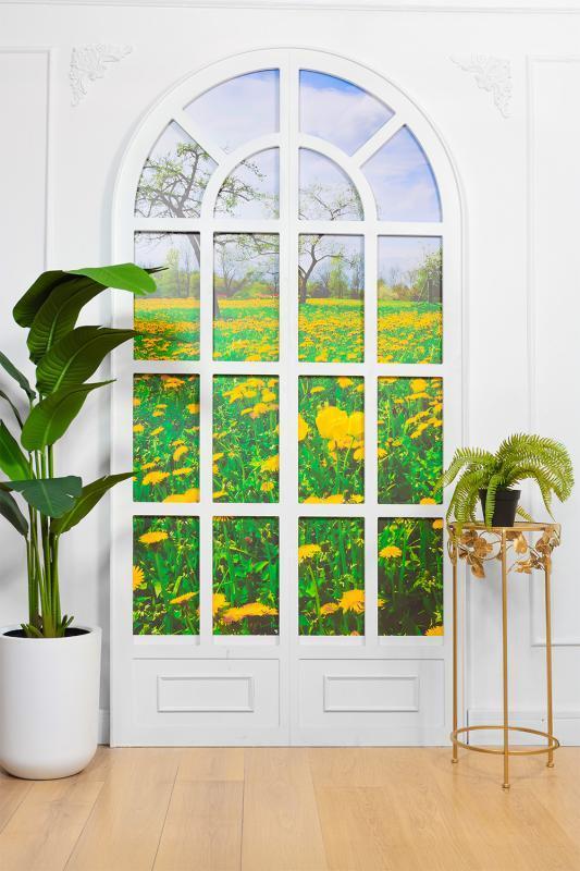 Plantas