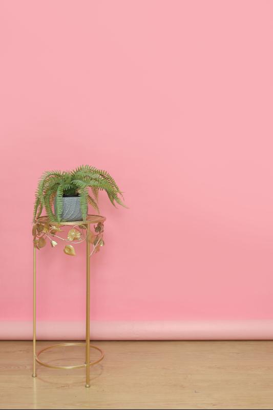 Rosado Corto