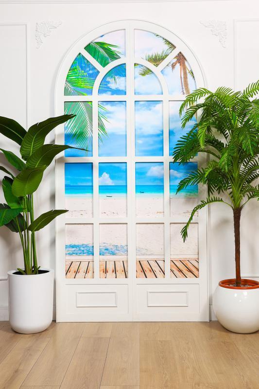 Plantas